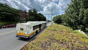 Boston tests ‘green’ roofs on MBTA bus shelters