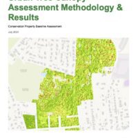 Worcester conducts Urban Tree Canopy Assessment